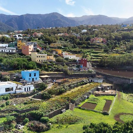 Ek Teide Finca El Milagro La Orotava Buitenkant foto