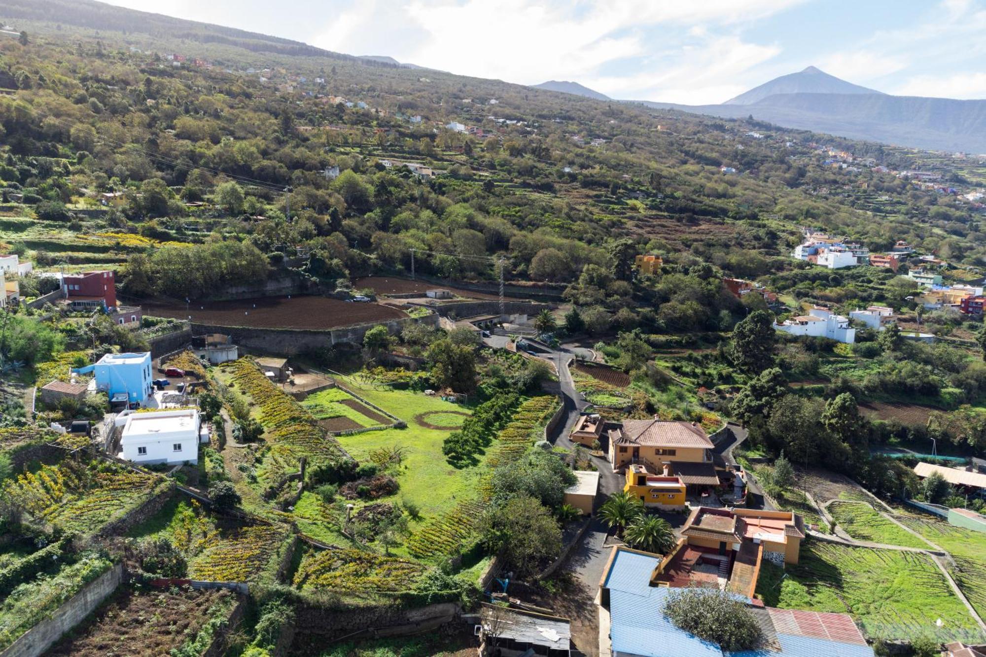 Ek Teide Finca El Milagro La Orotava Buitenkant foto