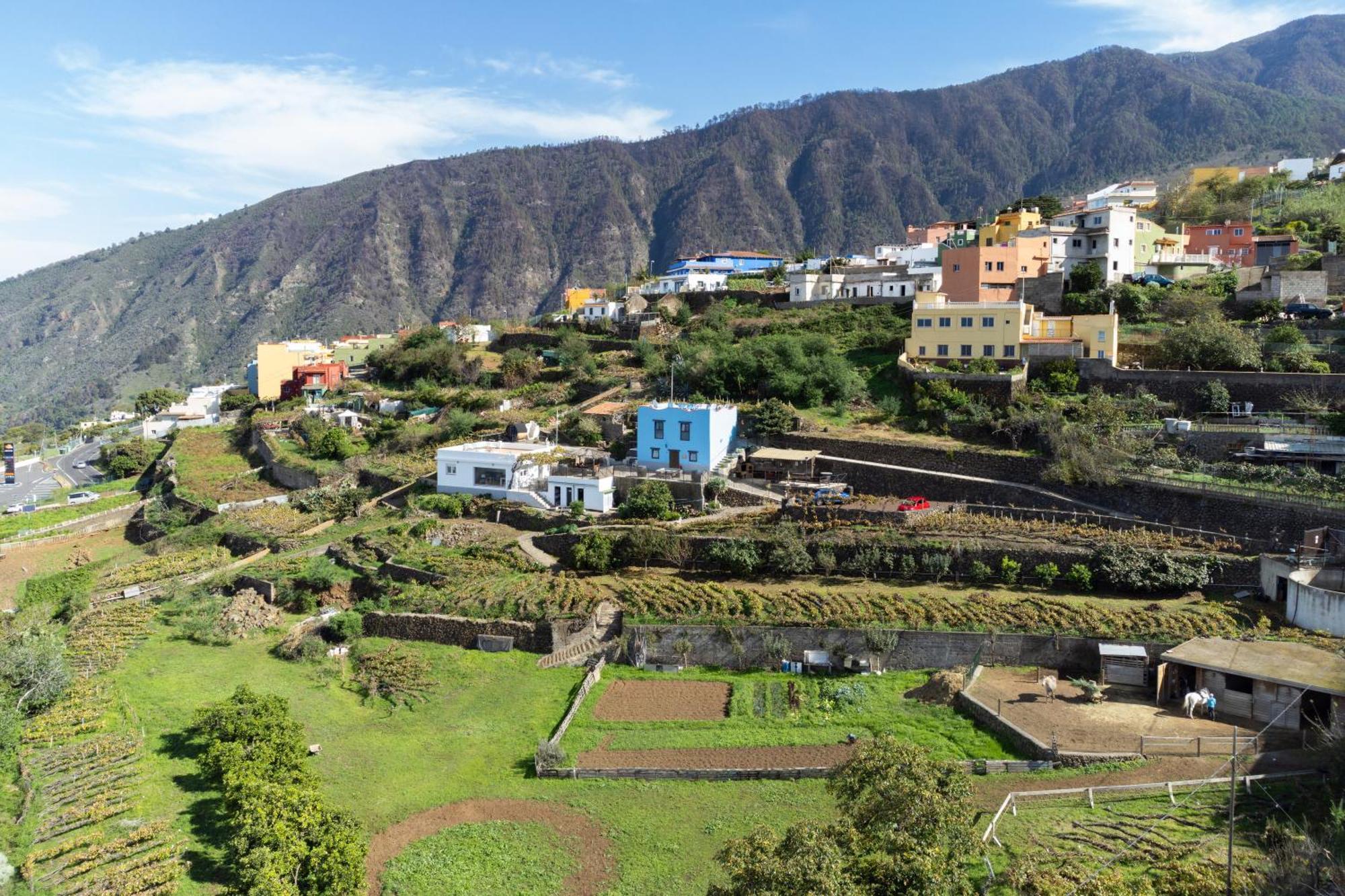 Ek Teide Finca El Milagro La Orotava Buitenkant foto