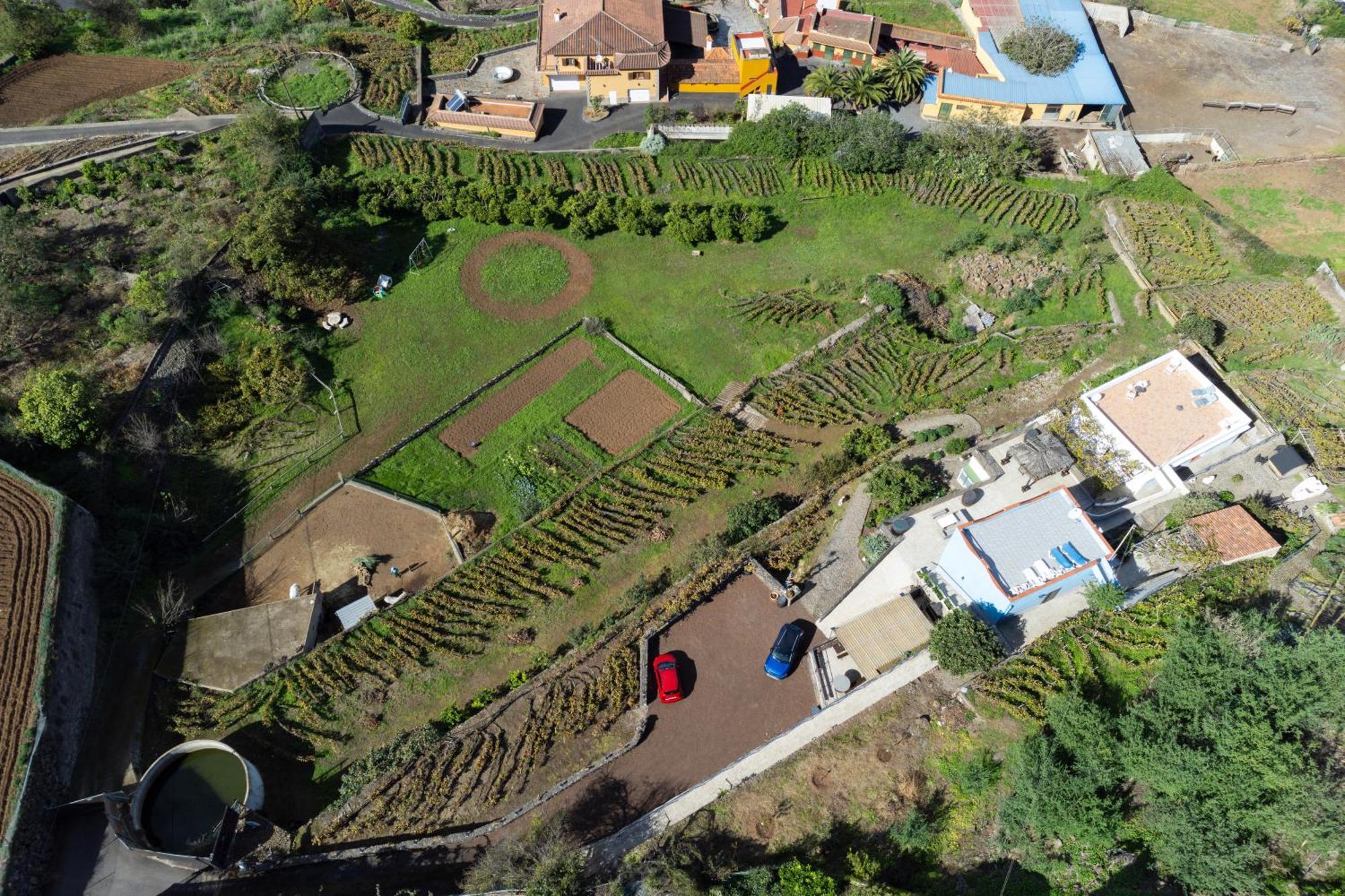 Ek Teide Finca El Milagro La Orotava Buitenkant foto