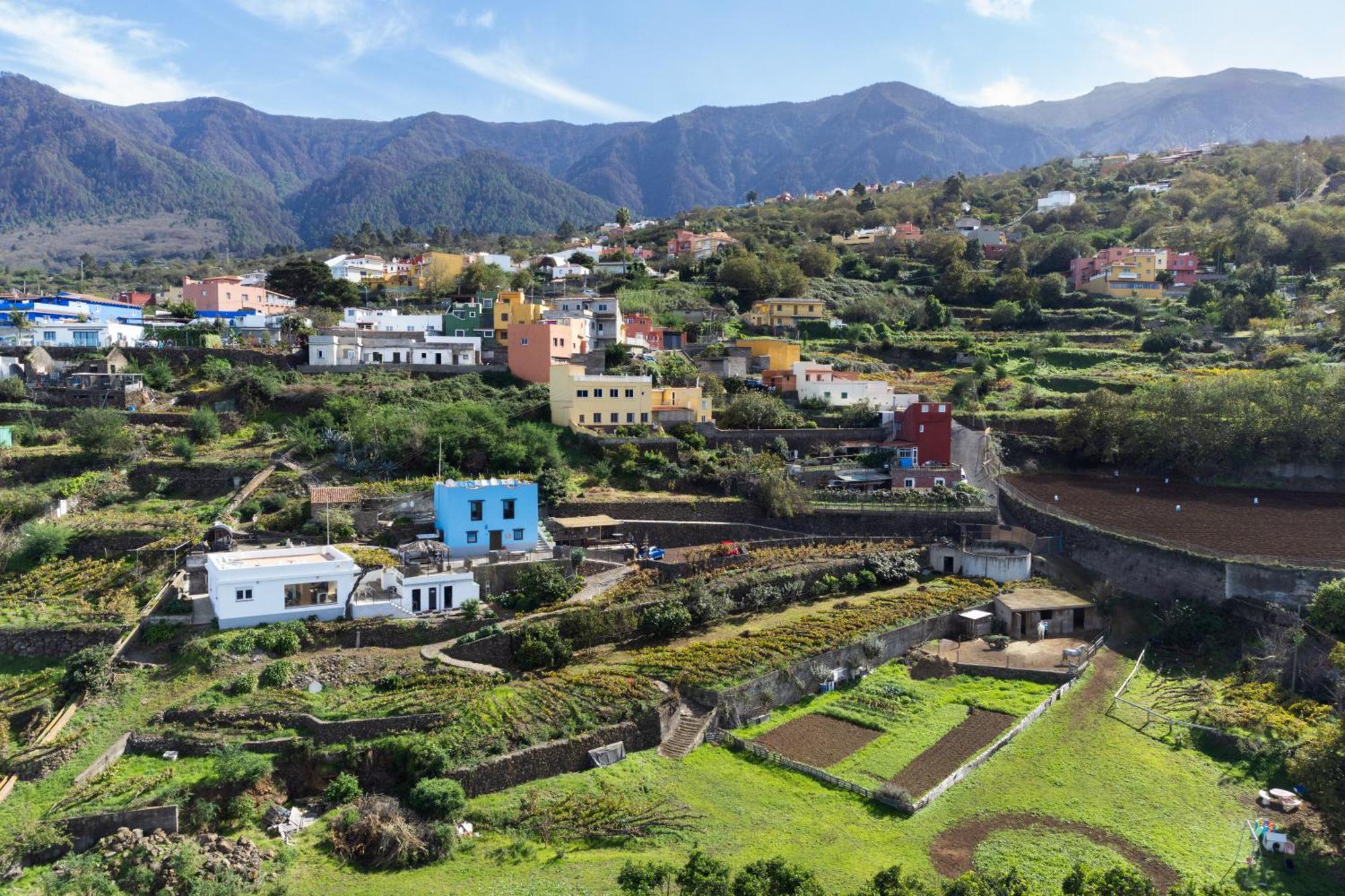 Ek Teide Finca El Milagro La Orotava Buitenkant foto