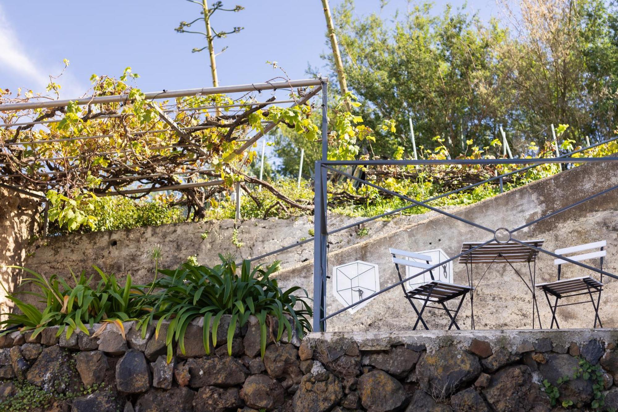 Ek Teide Finca El Milagro La Orotava Buitenkant foto