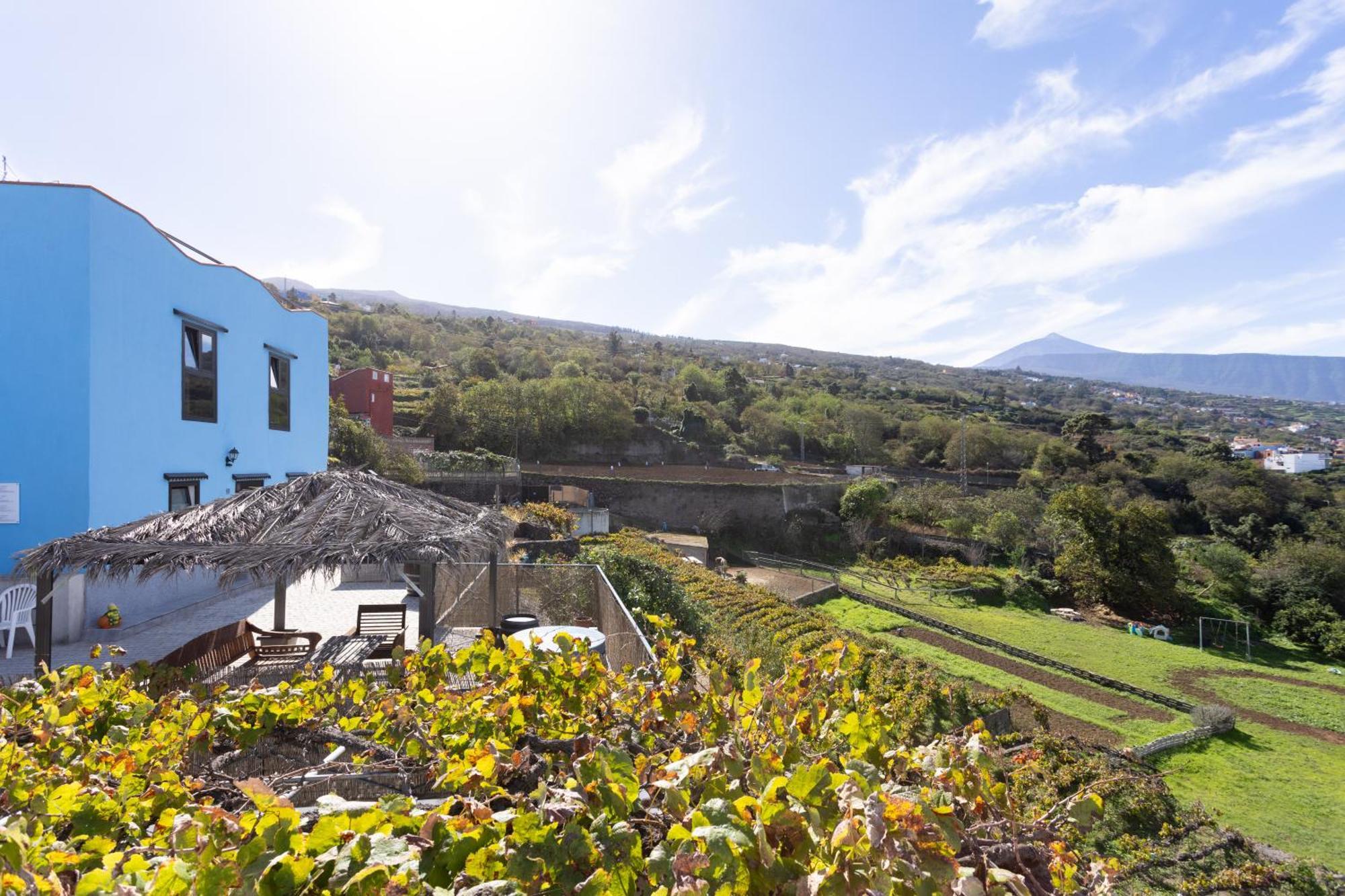 Ek Teide Finca El Milagro La Orotava Buitenkant foto